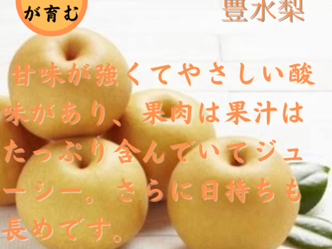 梨 3キロ 6個から11個入り 甘さあふれる旬 梨 南水 梨 秋感じる一品 冷蔵 フルーツ 果実 家庭 新高 豊水 秋泉 敬老の日 プレゼント 誕生日 お取り寄せグルメ おすすめフルーツ 和梨 訳あり