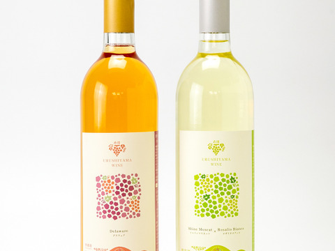 【夏ギフト】漆山果樹園ワイン2本セット★自家栽培デラウェアワインとシャインマスカット×ロザリオビアンコワインのセット「お中元熨斗対応可」