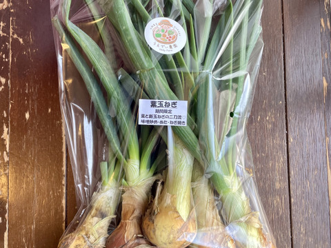 【期間限定】葉付き新玉ねぎ2kg 農薬・化学肥料不使用