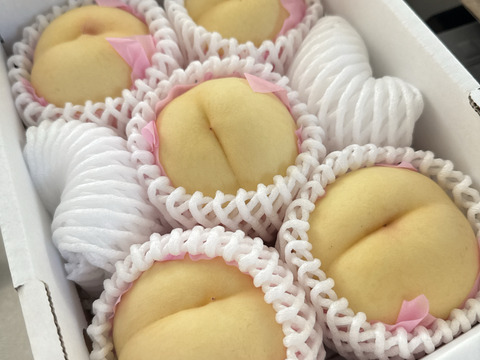 🍑おかやまの白桃　小箱【4〜10個】【ご自宅用】