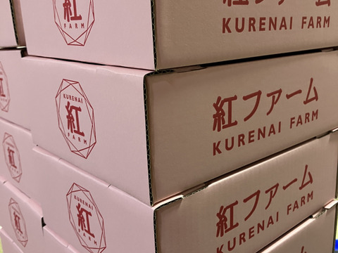 【規格外】ジャム用・たっぷり約1.5kg