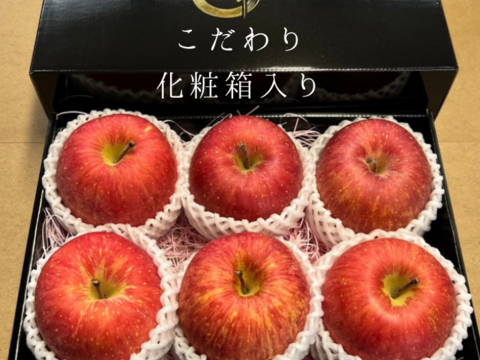 【ギフト専用】貯蔵りんご 高糖度 大 ふじ 秀品 大切な方へ ギフト 誕生日 プレゼント 産直 入学祝い 母の日 父の日ギフト 貯蔵りんご  プレゼント りんご りんごギフト 化粧箱入り