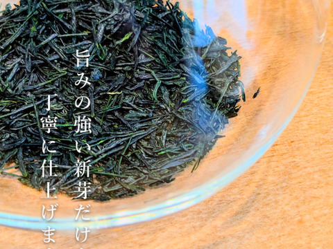 【2026年 新茶・予約】京都・舞鶴 玉露（50g）｜一番茶・数量限定