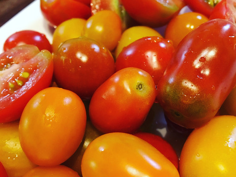 【ベジLIFE!!お勧め】トマト盛りだくさん夏野菜セット【トマト3袋+夏野菜6】