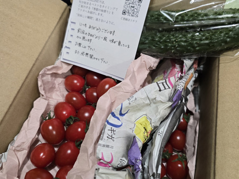 【まるでサクランボ】皮が口に残らない！子どもがパクパク食べる、フルーツのような甘さのミニトマト「まゆか」１㎏箱