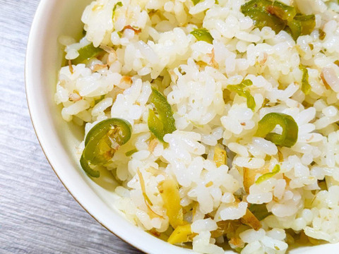 【予約販売】京都・舞鶴産 朝採れ万願寺とうがらし 良品 約200g【ポスト投函便】