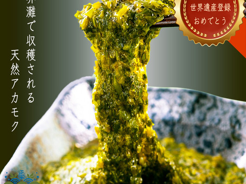 おすすめ☆あかもく80g×20個+1個無料