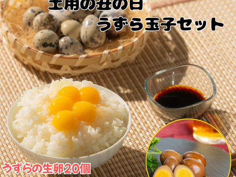 うずらの土用の丑の日セット