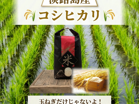 ※20袋限定！【淡路島産】島の恵みが育んだ極上コシヒカリ（令和7年度産）/５kg
