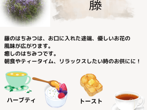 【非加熱･無添加】こだわりの生はちみつ　藤　500g