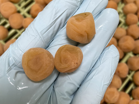 🍙【今だけ500円OFF】　
【無添加】群馬の梅　食べ比べセット　　　梅干し360g  乾燥梅干し300g