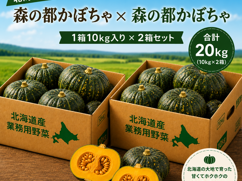 ほっくり甘い！北海道産 森の都かぼちゃ20kg：北海道産のみやこ南瓜