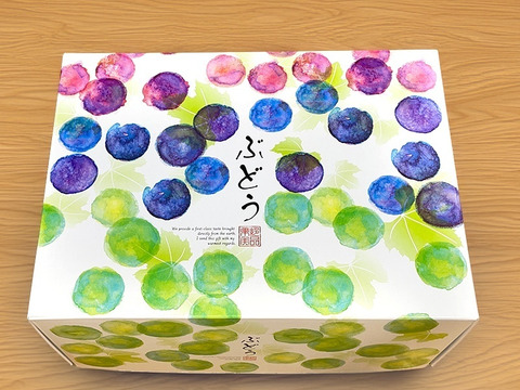 【贈答用】温室栽培シャインマスカット　2房（1.1Kｇ以上）