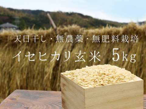《新米令和元年産、予約》イセヒカリ玄米5kg【無農薬・無肥料 生命力溢れる】