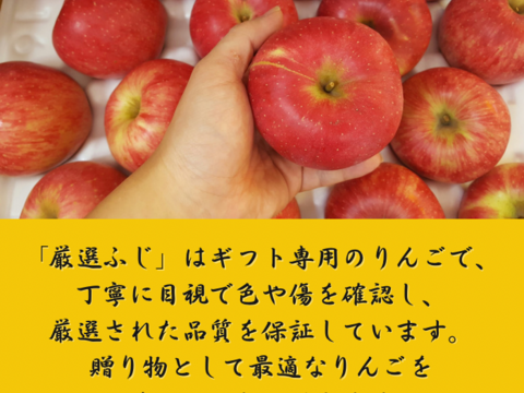 【ギフト専用】貯蔵りんご 高糖度 大 ふじ 秀品 大切な方へ ギフト 誕生日 プレゼント 産直 入学祝い 母の日 父の日ギフト 貯蔵りんご  プレゼント りんご りんごギフト 化粧箱入り