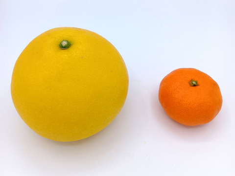 ビッグで上品な甘み！『パール柑』【9.3kg】