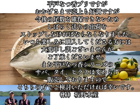 【青空レストランで紹介！】平戸なつ香ブリ（約５ｋｇ）【冬ギフト】 のし対応可能