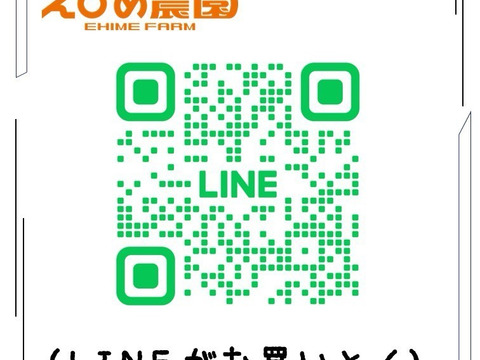 香り際立つ えひめ農園のグリーンレモン 約2.7kg（ワックス・防かび剤不使用・皮まで活用可）／送料別・数量限定