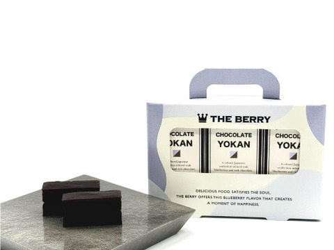 濃厚チョコ×ブルーベリー羊羹（ようかん）｜3個入り