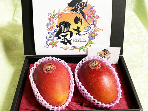 【お中元】高級完熟沖縄マンゴー『殿内之宝（どぅんちぬたから）・極』1kg（2玉）