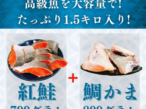 【母の日ギフト】【沼津 鯛 カマ 800g】＆【紅鮭 切り身 700g】食べ比べセット