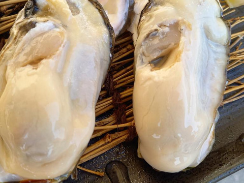 三陸直送！生でツルッと！牡蠣剥き身500g生食用2パック入り(3名様～5名様用)