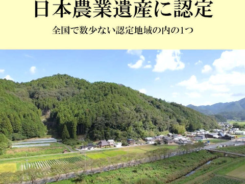 丹波篠山 黒枝豆 枝豆 丹波 黒豆 600g × 5 丹波篠山産 2024年 丹波 枝豆 もっちり 黒大豆 大粒 波部黒 丹波黒 高級 3000g 黒大豆枝豆 枝なし さや