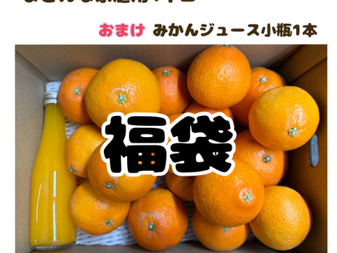 【数量限定福袋】まどんな家庭用4キロ＋みかんジュース小瓶1本付き※1月6日から順次発送