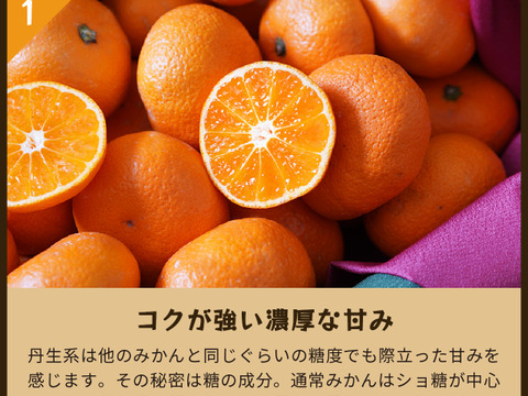 高速 割引 平日 蔵出しみかん丹生系5kg｜和歌山県海南市下津町産。晩生みかんの 果物