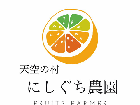 豊水梨（小箱）袋掛け栽培【秀品】天空の村よりお届け♫