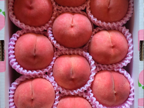 暁星(ぎょうせい)3kg🍑【朝どれ】直送🍑朝採り🍑贈答用🍑夏
