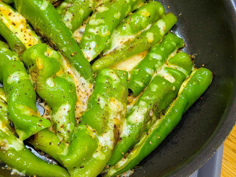 【予約販売】京都・舞鶴産 朝採れ万願寺とうがらし 良品 約200g【ポスト投函便】