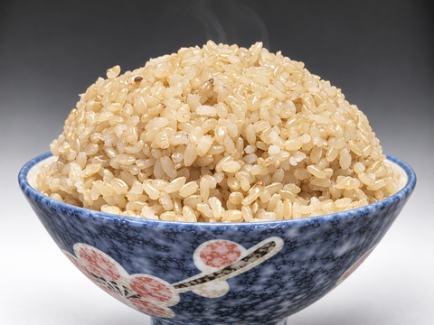 令和8年産新米】マジでうまい！千葉県産コシヒカリ玄米10kg（乾燥機