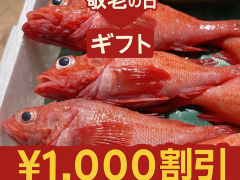 【敬老の日ギフト】大サイズ キンキ詰め合わせ※日付指定不可