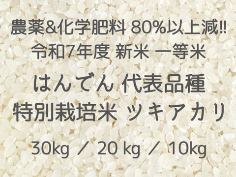 収穫から3日~7日以内の【 生きたお米 】
農薬&化学肥料80%以上大幅減 !!
令和7年度 新米 広島白木町 白米30kg
はんでん 代表品種 特別栽培米 ツキアカリ