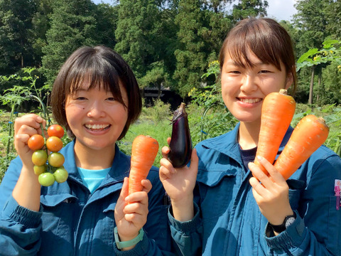 【無添加】野菜ソムリエと作ったピクルス！森ファームのピクルス３種　各７０g