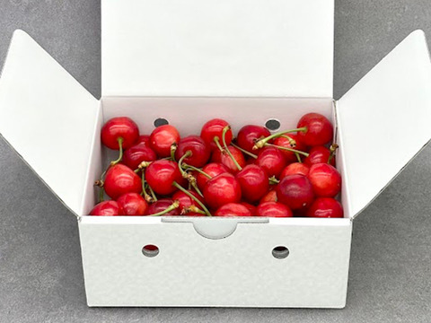 【先行予約】大玉さくらんぼ L～2L バラ 約350g