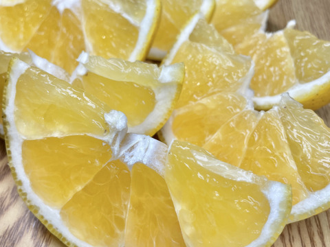 【家庭用】木成り河内晩柑 ５ｋｇ ２Ｌ～Ｍサイズ【みかん職人武田屋】