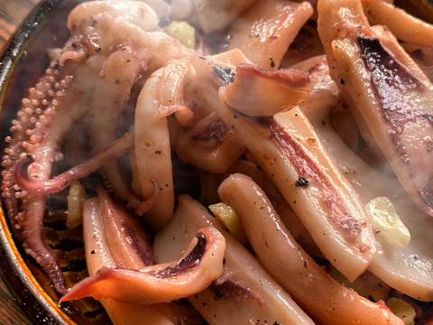 ぷりぷり★ヤリイカ一夜干し【中サイズ】