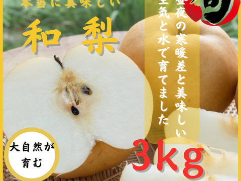 【訳あり】梨 幸水 豊水 新高  贈答 訳あり  3kg 人気 果物 フルーツ 敬老の日 誕生日 記念日 スティック梨 家庭用 秋田 東北 和梨 ジューシー フルーツ お取り寄せ 秋の味覚