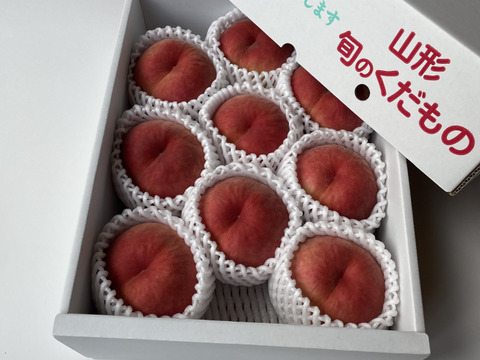 【桃の概念をぶっ壊す固さ】🍑おどろき 3キロ🍑【固すぎ桃】【バリバリ桃】【硬め】【もも】