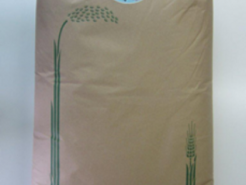 令和7年産 きぬむすめ【白米】 10kg