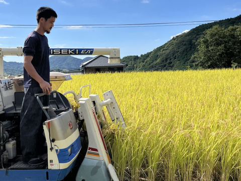 【R7年産】生活排水なしの一番水　自然栽培窪野米イセヒカリ5㎏【玄米】