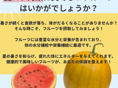 金メダルスイカ【1玉入り】ゴールド 家庭用から贈答可能 秋田県産 すいか フレッシュスイカ 夏の風物詩 ギフト お中元 夏丸 暑中見舞い 美味しい 甘い スイカ 糖度14 ゴールド