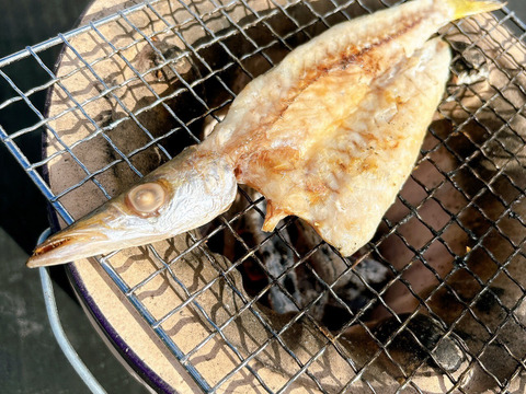 【浜名湖産】一夜干しや味醂干し漁師手作り干物セット ５パック入り