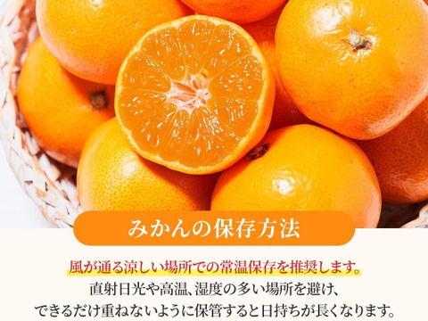 超訳ありみかん 約9キロ箱込 訳ありみかん  西浦みかん 訳あり 自宅用 静岡産 蜜柑 果物 フルーツ 柑橘 訳あり果物 柑橘類
