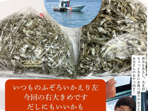 大きめふぞろいかえり300ｇですが17日までお得　→972円での販売に変更に【すぐ発送】【おまとめ同梱OK】