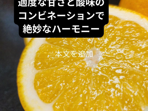 箱込約2㌔　きれいな河内晩柑　おくりものに