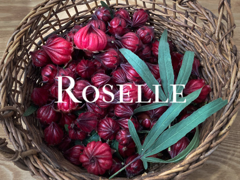 富山県産 ローゼル 約1kg