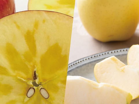 【福袋】青森県産 約３キロ 季節の樹上完熟りんご詰め合わせセット【家庭用厳選品】